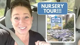 Tour A Native Plant Nursery With Me! *Watermark Woods*