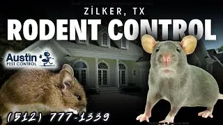 Zilker, Austin, TX Rodent Control Services (512) 777-1339