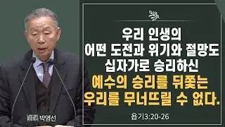 우리 인생의 어떤 도전과 위기와 절망도 십자가로 승리하신 예수의 승리를 뒤쫓는 우리를 무너뜨릴 수 없다#박영선목사님설교 #욥기강해