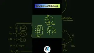Tricks how to draw cyclic structure of glucose class 12 chemistry| Biomolecules| JEE | NEET