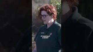 Reptile Conservation