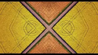 Dark Design, Miles From Mars - Jungle Visions (Original Mix)