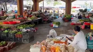 🇻🇳 Morning at Thạnh Lạc Đ&ocirc;ng Market &ndash; Real Rural Vietnam Daily Life