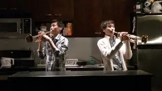 Adele - Rolling in the Deep (Trumpet Cover)