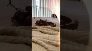 Modern 2BHK Home in Goregaon | Interior Design Highlights