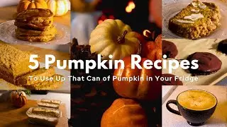 5 Pumpkin Recipes You Should Try This Fall 🍁