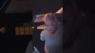 The Leaked Footage of Sunny's Arrest