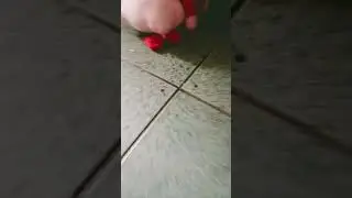 14 de enero de 2026