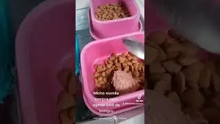 Minha mam&atilde;e compra pat&ecirc; Bomguy para agente!