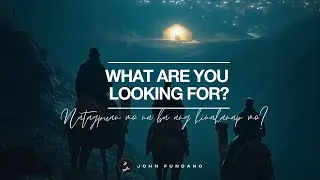 What Are You Looking For? | John Fundano
