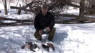 Dog Training Dummies by Dead Fowl Trainer- EveythingGunDog.com