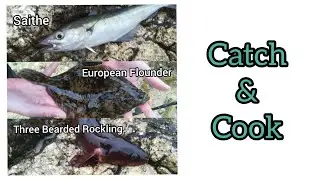 CATCH & COOK: Flounder, Coley & Three Bearded Rockling