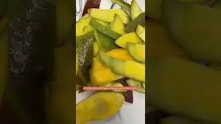 Will It Cycle? Mango Pit Challenge! #foodcycler #reducefoodwaste