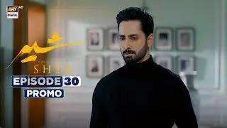 Sher Episode 30 | Promo | Danish Taimoor | Sarah Khan | ARY Digital Drama