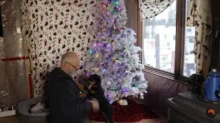 Christmas in Alaska and building shelves in the shed