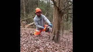 Ethical bow shot distance! How Dave & Chris got into deer hunting!