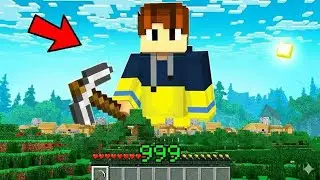 Minecraft But Your XP = Your Size | Minecraft Hindi