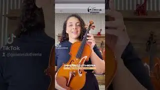 Violino eagle ve441 #gimenezluthieria