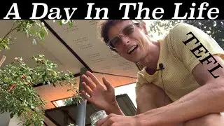 A Day In The Life Of Camden Long TEFL Teaching English Online