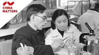 This Chinese team saved millions of lives, but almost lost their own!