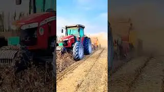 #agronomics #automobile #agriculture #farming #agrimachines #agrimachines #cropprocessing #excavator