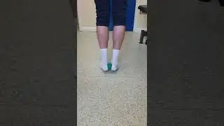 Calf Raise with ball squeeze