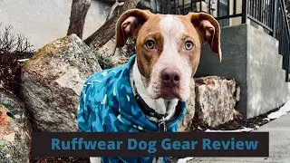 Review: 3 Ruffwear Dog Gear Items Perfect for Winter