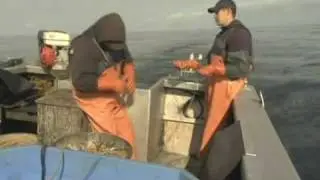 cbsfa.flv