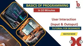 Mastering Python User Interaction is a GAME CHANGER! #pythonforbeginners  #pythontutorial