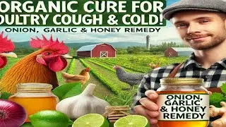 Organic Solution for Poultry Cough, Cold, and Breathing Issues Using Onion, Garlic, and Honey