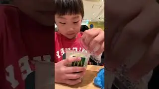 McDonalds Japan Salad Shaker