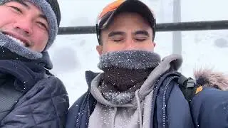SNOWFLAKES AT TROODOS MOUNTAIN,CYPRUS🇨🇾🇪🇺⛄️❄️🌨️