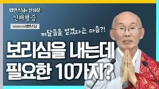 깨달음을 얻겠다는 마음을 내는데는 10가지가 필요하다 [법안스님의 신심문 신해행증 28회]