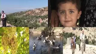 AX Û WELAT-Şehba_TEANE- 28 - 7 -2018) اخ ؤ ولات قرية تعانة شهباء