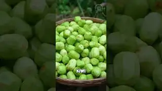 Chewy snack prepared with dried kiwi