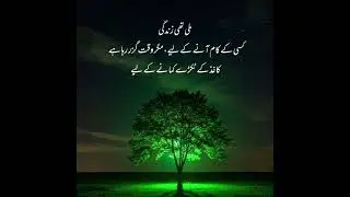 Motivational Quotes Life || Best Urdu Quotes Collection || Daily Life Quotes || 