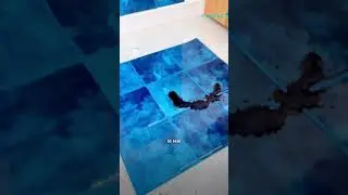 Современное и практичное решение на вашу стену