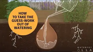 Ollas Watering System: Save water, time, and guesswork with Terracotta Waterpot Ollas.