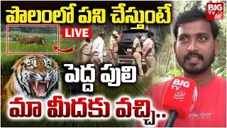 పెద్దపులి మా మీదకు LIVE: Rajahmundry Tiger Latest Updates | Tiger Hulchul In East Godavari | BIGTV