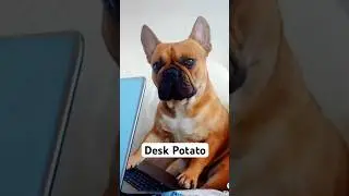 I&rsquo;m KitKat | Always Taking a Break #viral #funny #shorts #shorts #funnyvideo #shortvideo #viralvideo