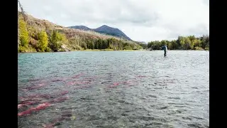 Fishing Alaska's Kenai Peninsula - AC Fly Fishing Hosted Travel
