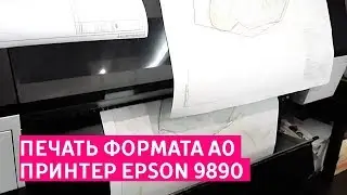 Печать формата А0. Принтер Epson 9890.