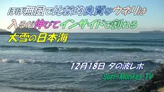 ほぼ無風で 比較的良質なウネリは入るが 伸びてインサイドで割れる 大雪の日本海 251218 夕方 ~サーフモンキーTV