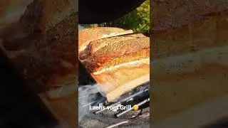 #shorts Lachs vom Grill #fastfood #food #fish #dinner #sun #feeling