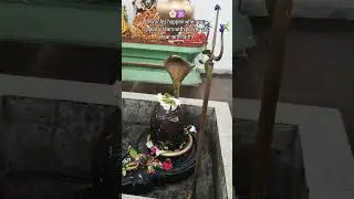 🔱 Har Har Mahadev 🙏 #SurinsarTemple#MahadevVibes #BholenathBhakt#ShivReel #DivineShivVibes#ytshorts
