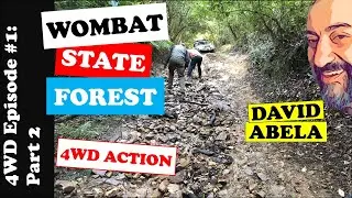 Wombat State Forest July - Part 2