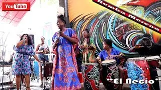 Rumba Morena 