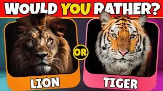 Would You Rather | Fun Animal Quiz 2025 🐼🦉