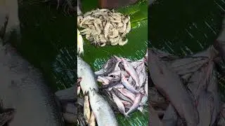 Today&rsquo;s market view #marketing #market #fish #life