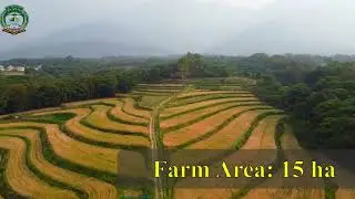 Aerial View of Seed production farm at CSK HPKV Palampur
